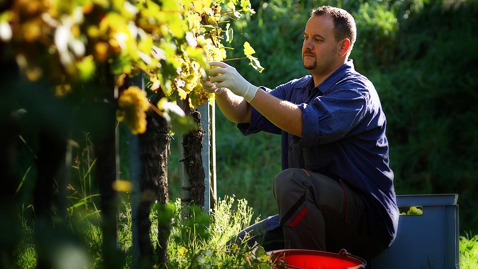 Six Tips for Fruitful Marketing