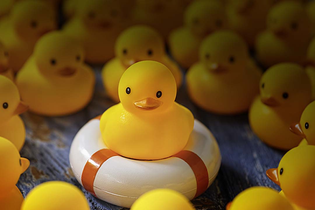 Tradeshow Marketing and Branding